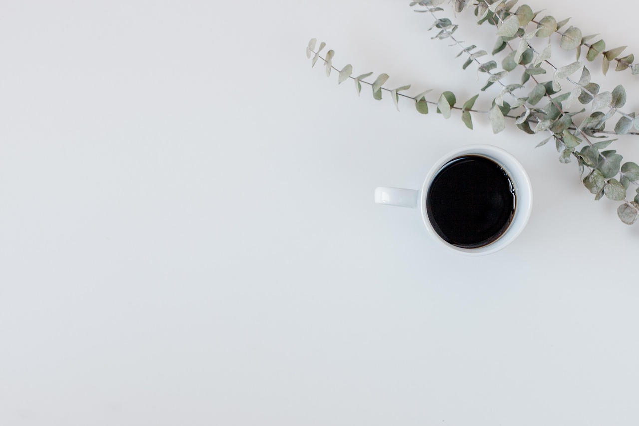 coffee, plant, desk, flower, flower wallpaper, flower background, notepad, office, nature, cup, leaf